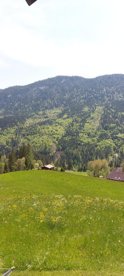 Bichlhof Riedenberg Villa Thiersee Ngoại thất bức ảnh